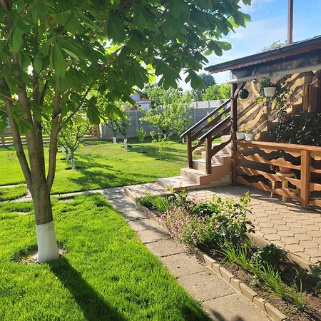 Casa Viviana Otel Baia Dış mekan fotoğraf