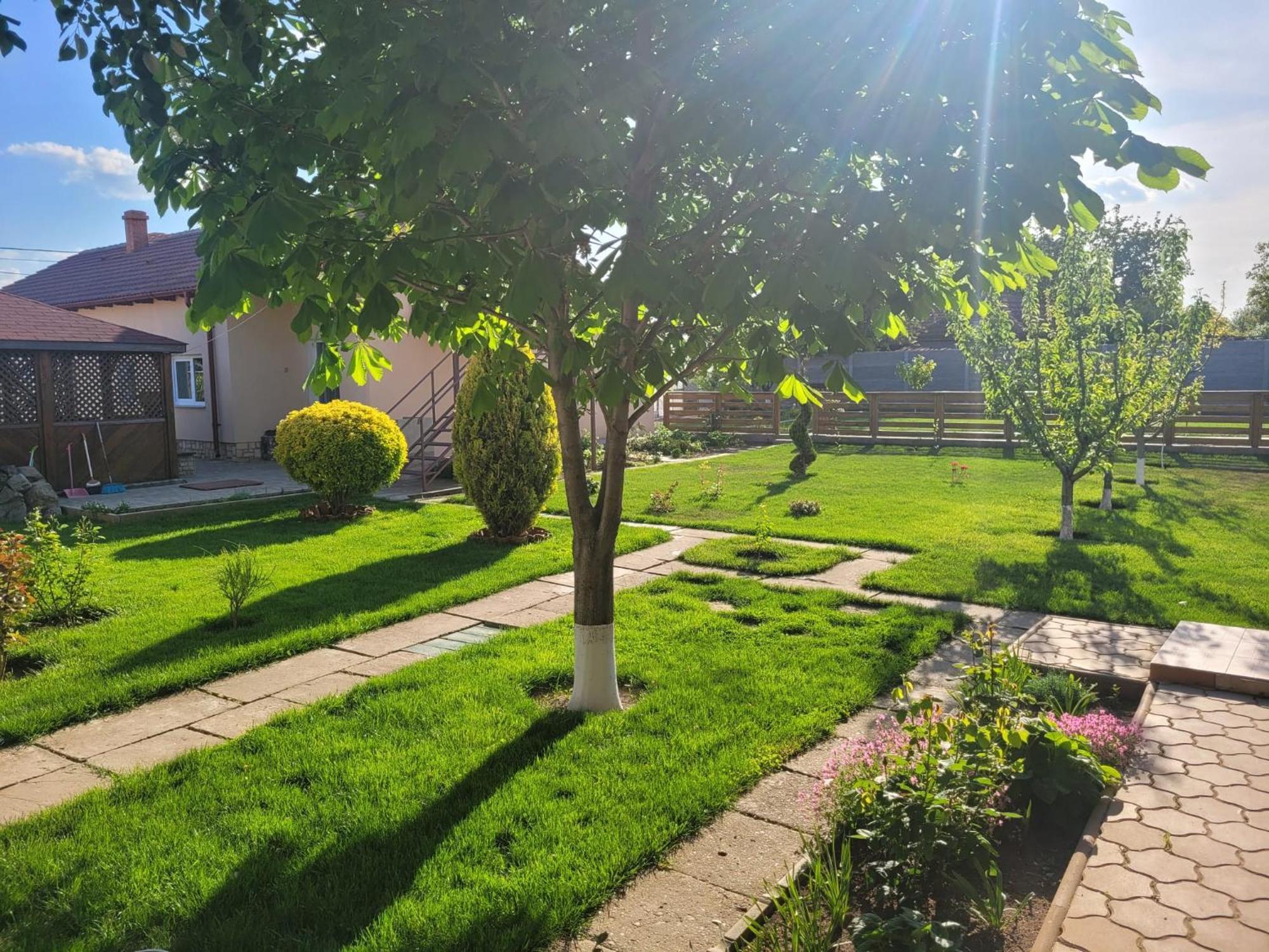 Casa Viviana Otel Baia Dış mekan fotoğraf