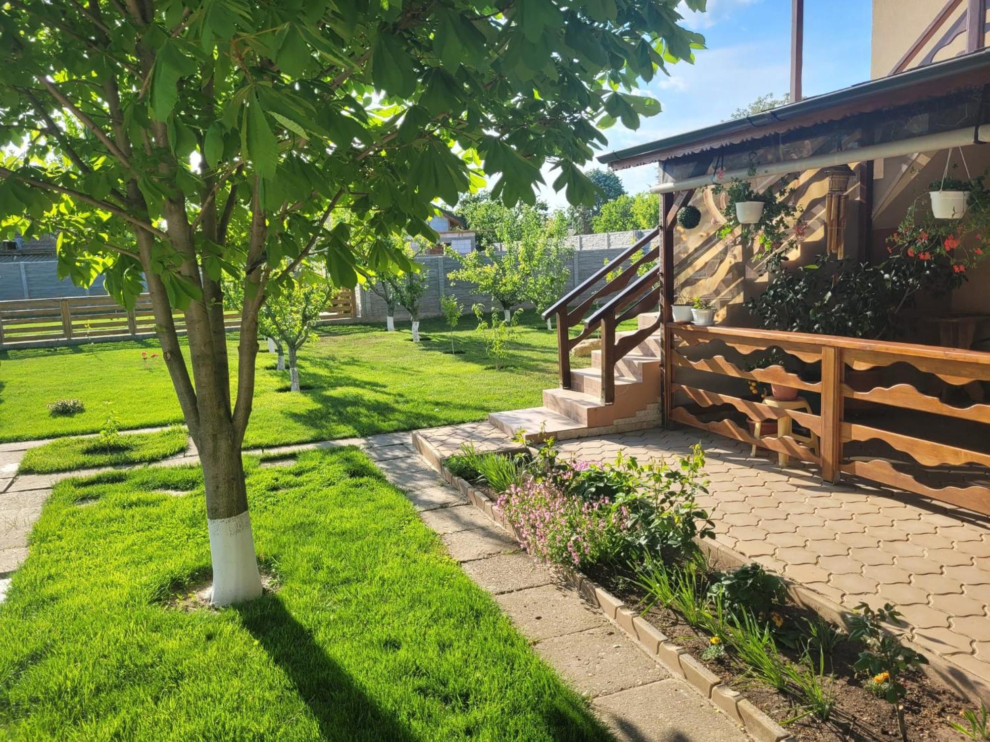 Casa Viviana Otel Baia Dış mekan fotoğraf